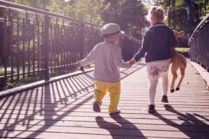 What to Look for in a Bridge Fence