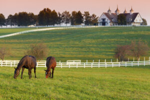 hercules custom iron metal fencing help ranchers