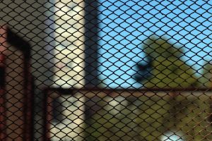 hercules custom iron Wire Mesh Panels